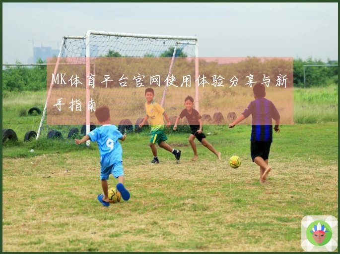 MK体育平台官网使用体验分享与新手指南