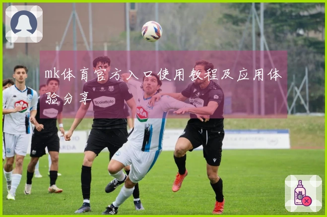 mk体育官方入口使用教程及应用体验分享